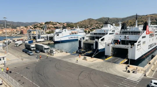 Vue du port de Toulon avec plusieurs ferries blancs amarrés le long des quais sous un ciel bleu méditerranéen